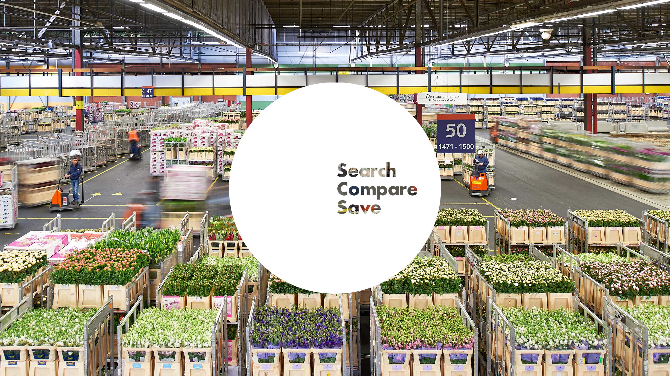 Comparison Compare Marketing Communications Sales Product Literature Identity Digital Brand Innovation Strategy Online Branding New Business Naming Horticulture Flowers Nature International Import Export Leeds Agency Consultants Consultancy DESIGN PROJECT