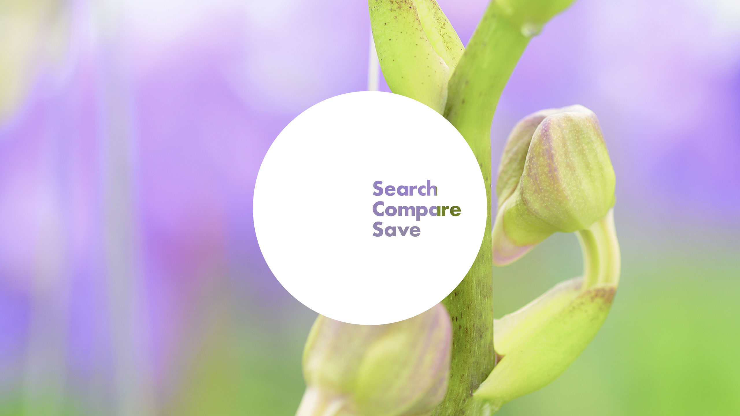 Comparison Compare Marketing Communications Sales Product Literature Identity Digital Brand Innovation Strategy Online Branding New Business Naming Horticulture Flowers Nature International Import Export Leeds Agency Consultants Consultancy DESIGN PROJECT 1