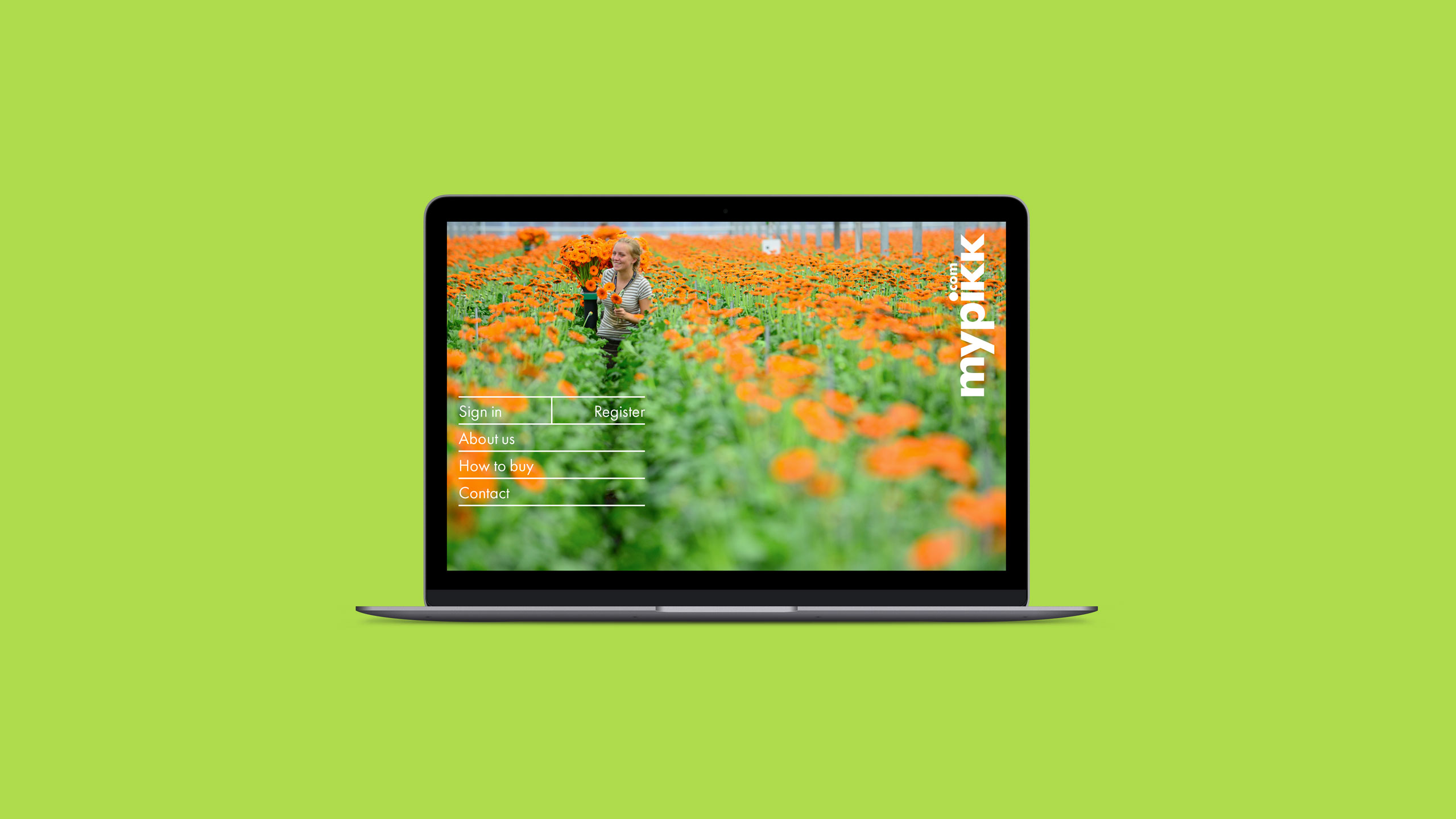 Identity Digital Brand Innovation Online Branding New Business Naming Horticulture Flowers Nature International Import Export Leeds Agency Consultants Consultancy DESIGN PROJECT