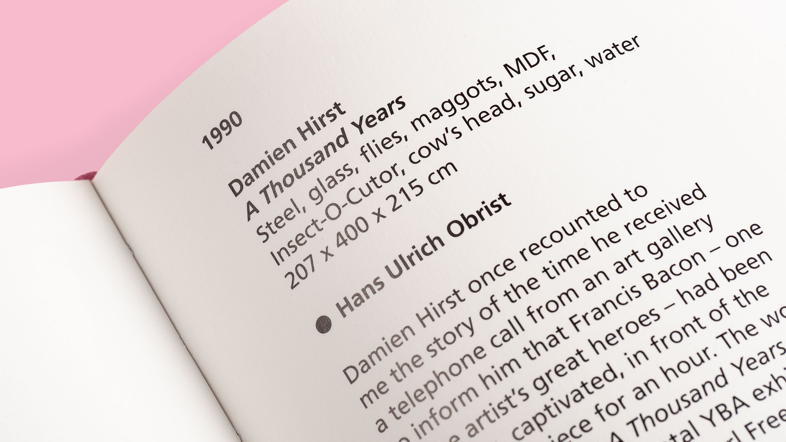 Phaidon Contemporary Art Publication Book Reference Luxury Monograph Brochure Guide Branding Design Artist Sculptor Art Commercial Publishing Gallery Leeds Agency DESIGN PROJECT 3