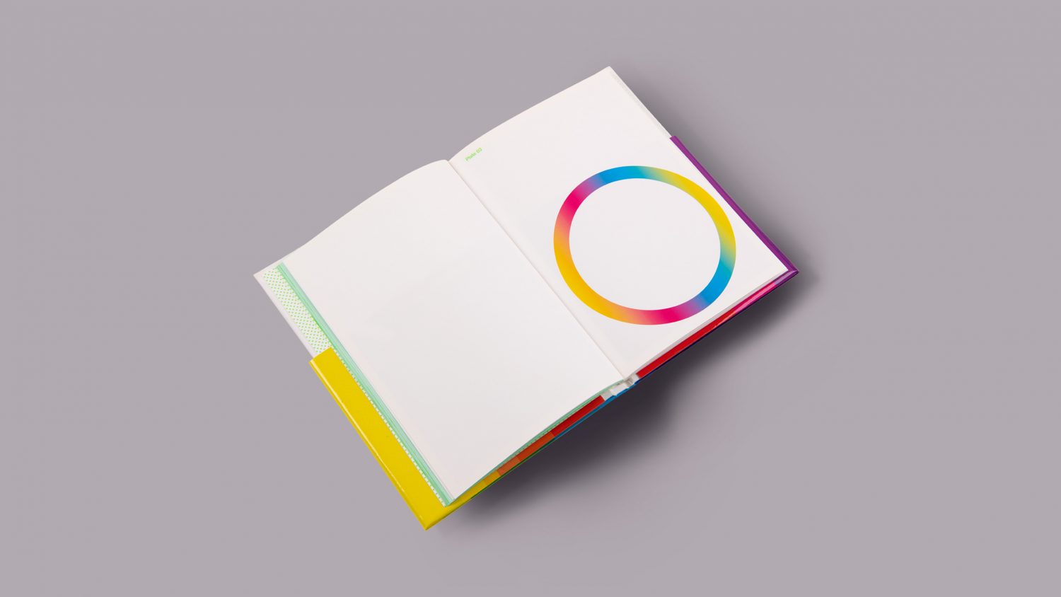 Print design, lithographic printing, CMYK, overprinting, book design, graphic design book by Design Project