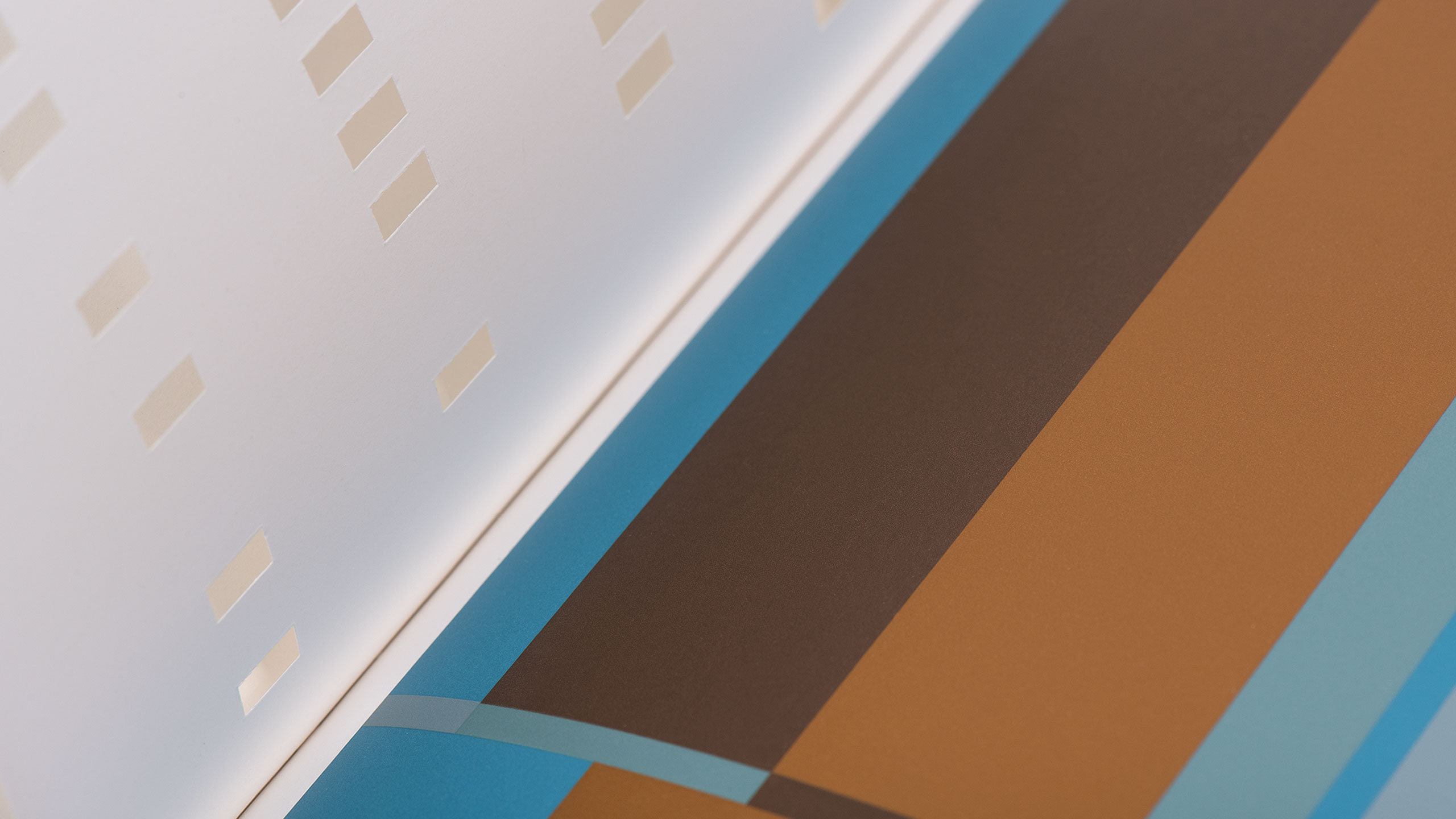 Lithographic printing, die cutting, metallic print, book design, graphic design book, print inspiration by Design Project