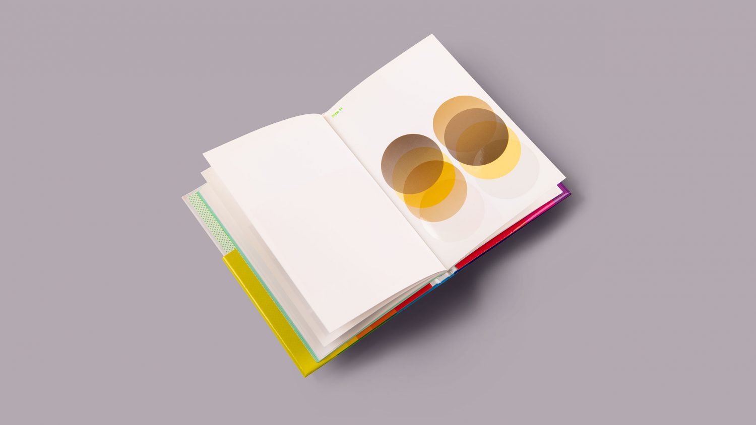 Lithographic printing, UV varnishing, metallic print, book design, overprinting, graphic design book, print inspiration by Design Project