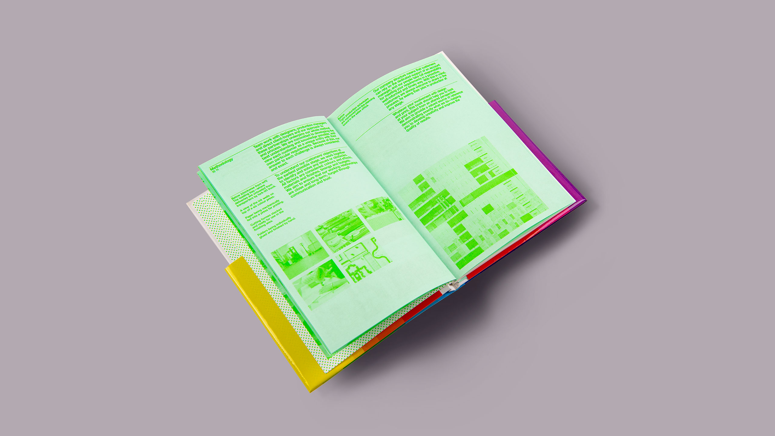 Fluorescent ink, lithographic printing, book design, marketing strategy, printing and finishing, graphic design book by Design Project