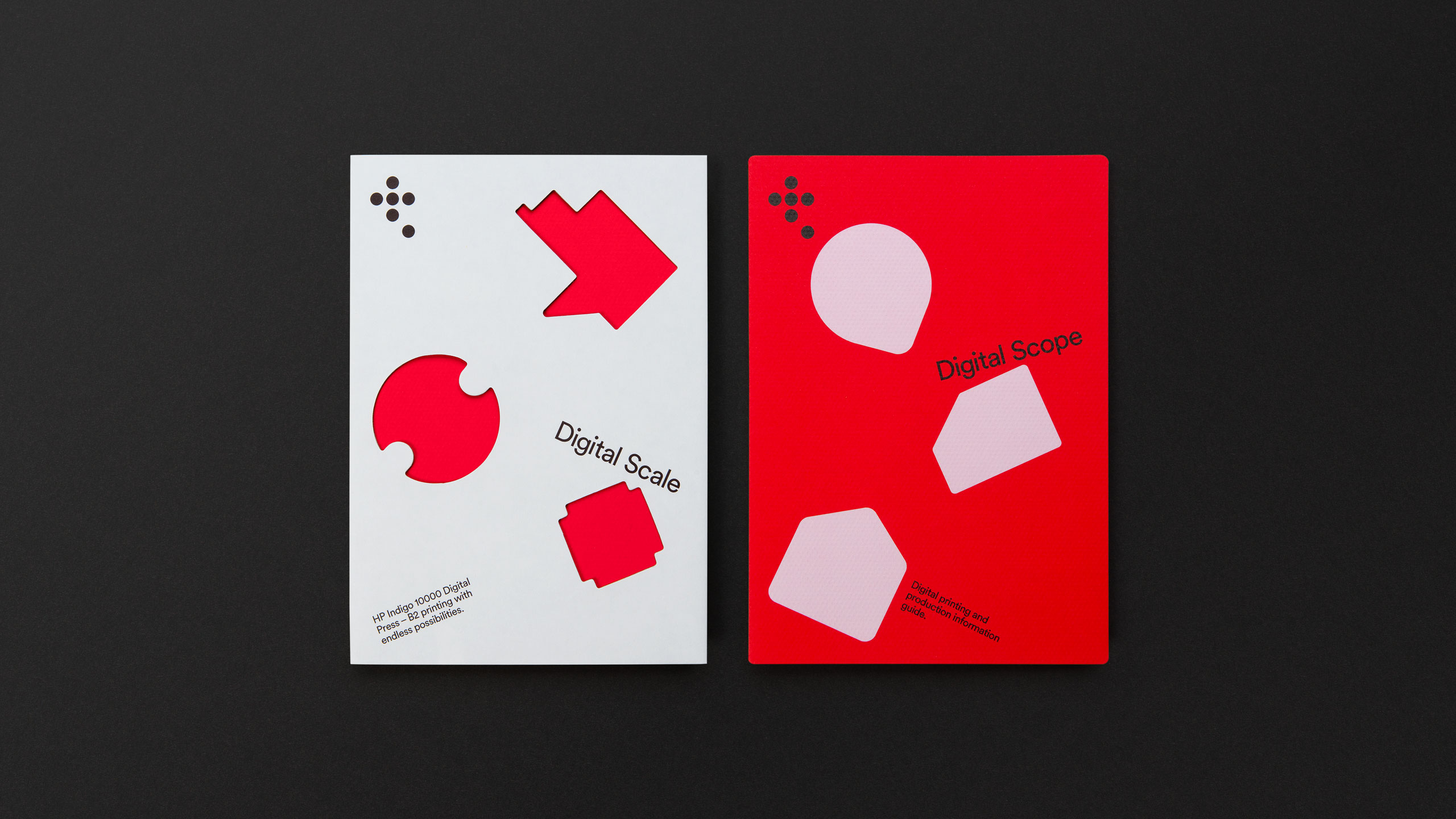 Direct Mail DM Campaign Data Driven Consumer B2B Brochure Sales Marketing Literature Communications Premium Digital Print Personalised Printed Leeds Branding Consultancy Agency DESIGN PROJECT