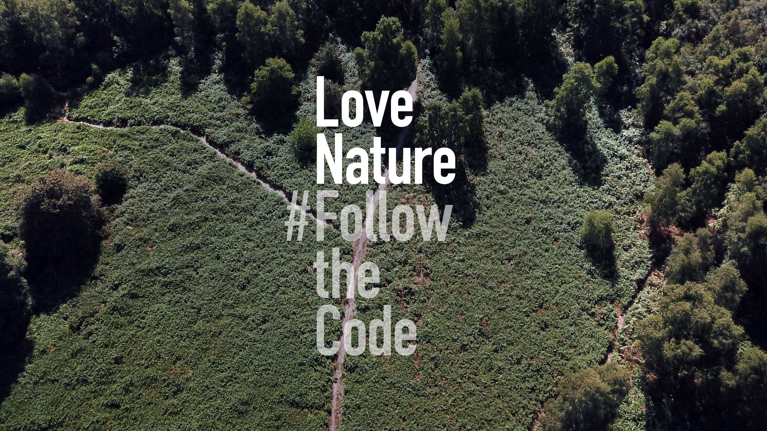 Environmental Identity Rebrand Countryside Code Brand Rethink For Good Photography Natural Nature Park Land Estate Green Outdoor Marketing Campaign Positioning Inspiring Inspirational Social Public Awareness Conserve Advisory Leeds Branding Agency DESIGN PROJECT Walking Path Reserve Signage