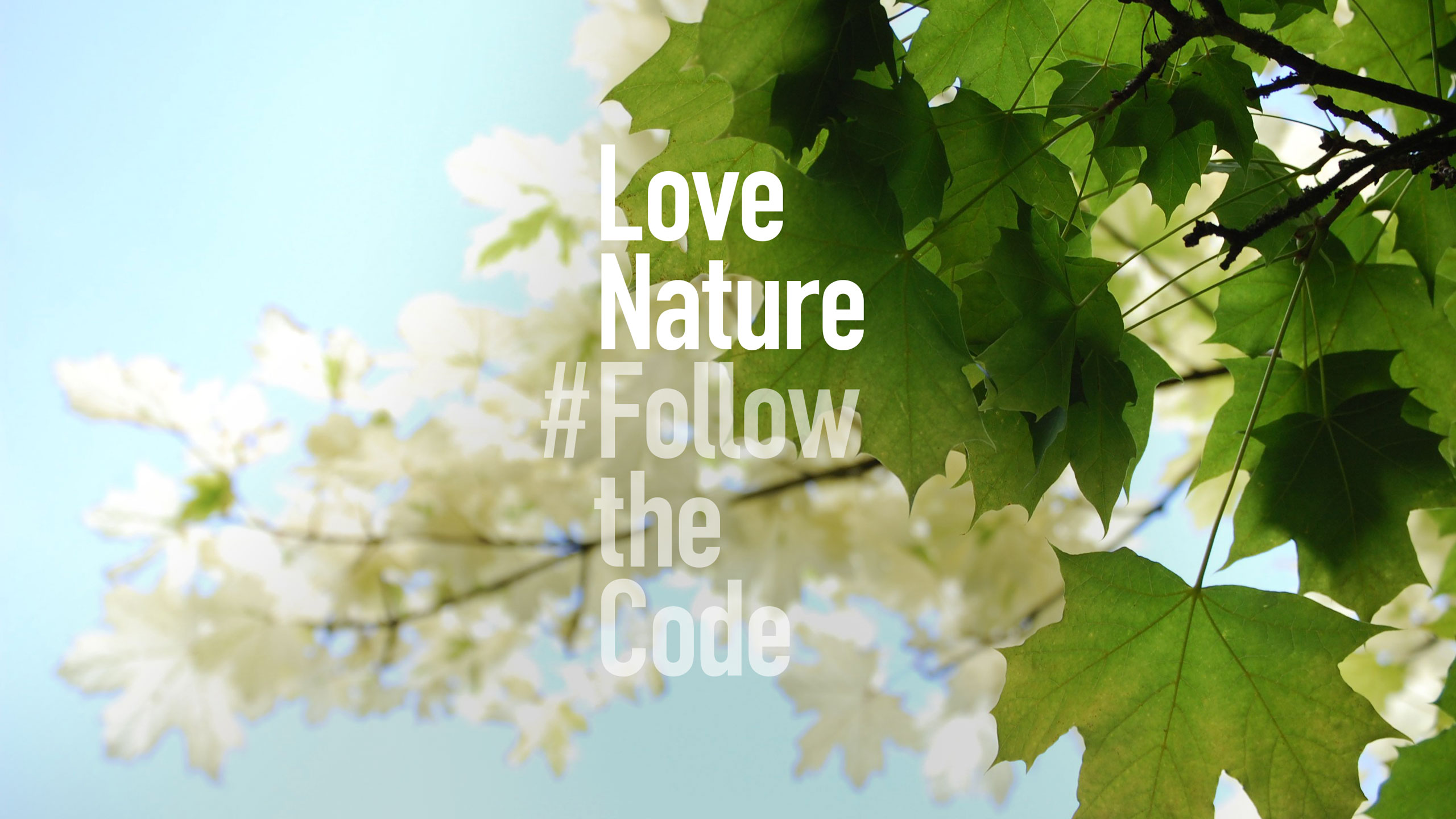 Environmental Identity Rebrand Countryside Code Brand Rethink For Good Photography Natural Nature Park Land Estate Green Outdoor Marketing Campaign Positioning Inspiring Inspirational Social Public Awareness Conserve Advisory Leeds Branding Agency DESIGN PROJECT Plants Trees