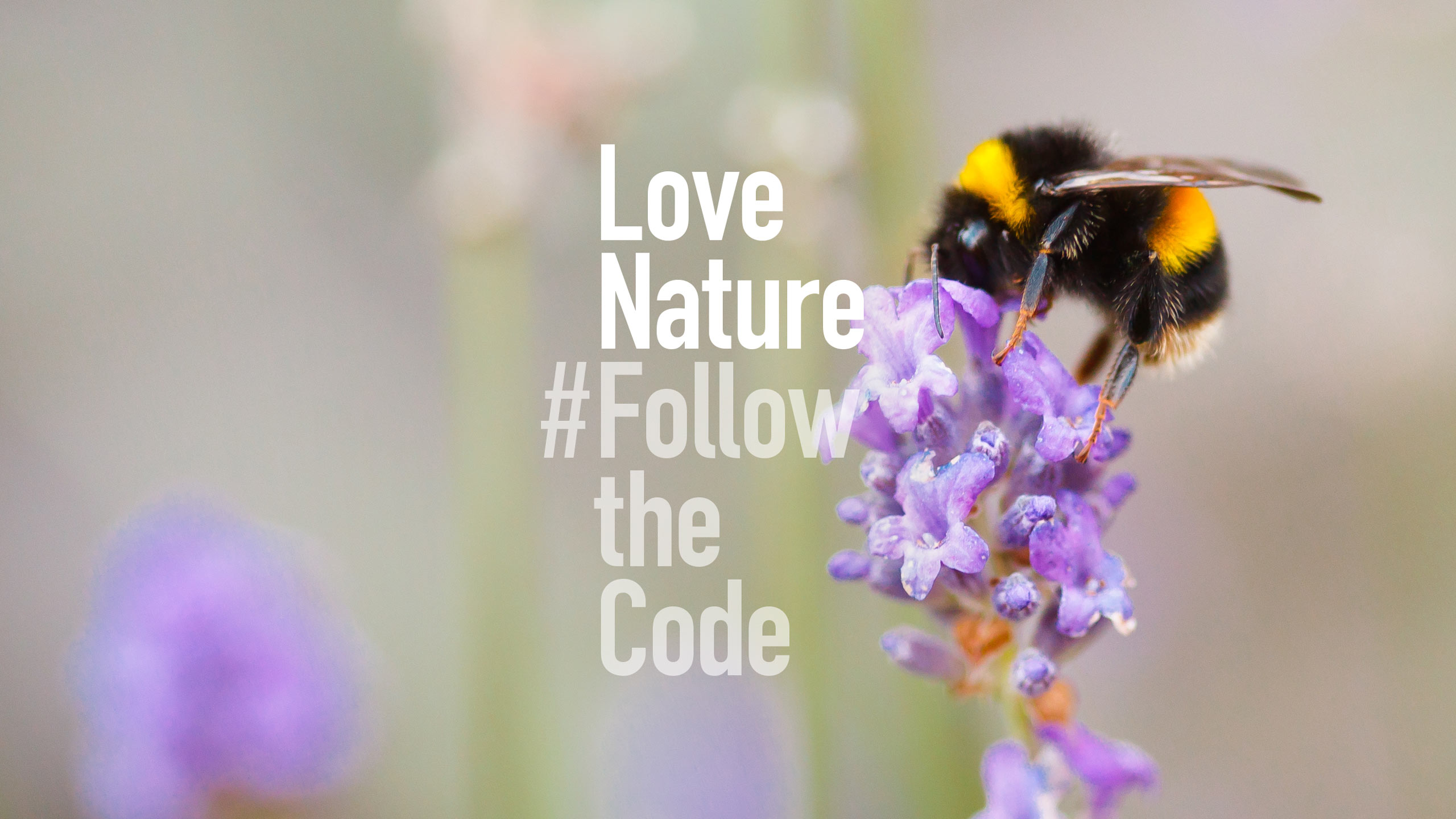 Environmental Identity Rebrand Countryside Code Brand Rethink For Good Photography Natural Nature Park Land Estate Green Outdoor Marketing Campaign Positioning Inspiring Inspirational Social Public Awareness Advisory Leeds Branding Agency DESIGN PROJECT Insects