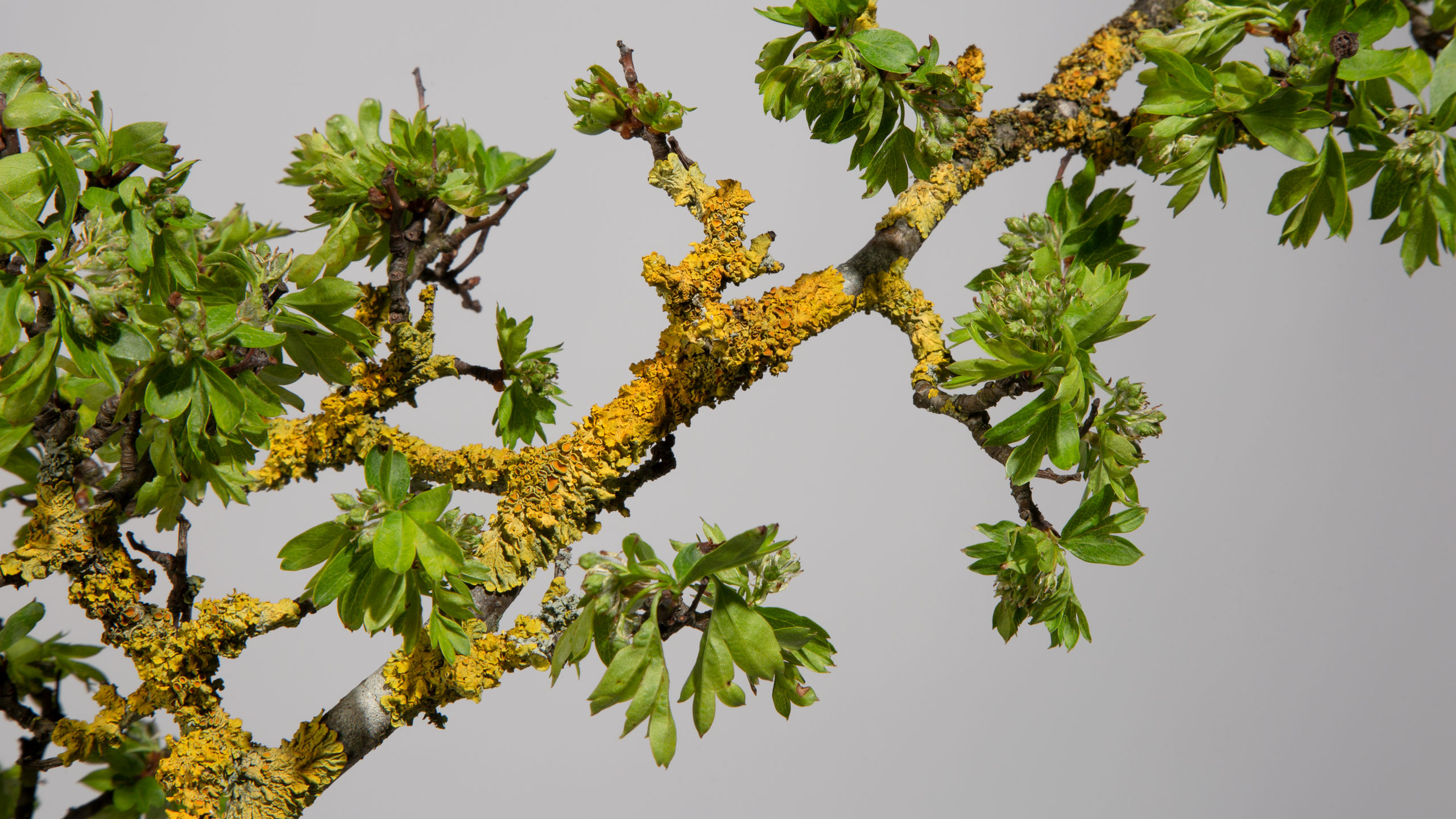 Art Direction Corporate Environmental Eco Friendly Packaging Design Marketing Promotional Campaign Branded Branding Luxury Retail E-Comms Reusable Mailing Shipping Biodegradable Responsible Sustainable Yorkshire Leeds Branding Agency 4 DESIGN PROJECT