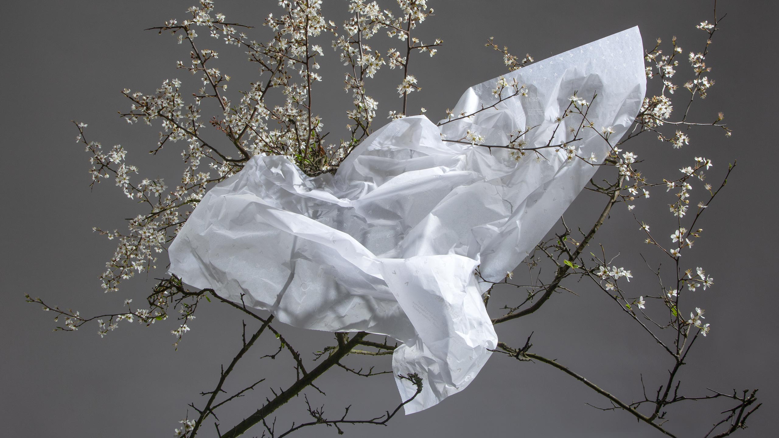 Design Project Environmentally Friendly Campaign 09