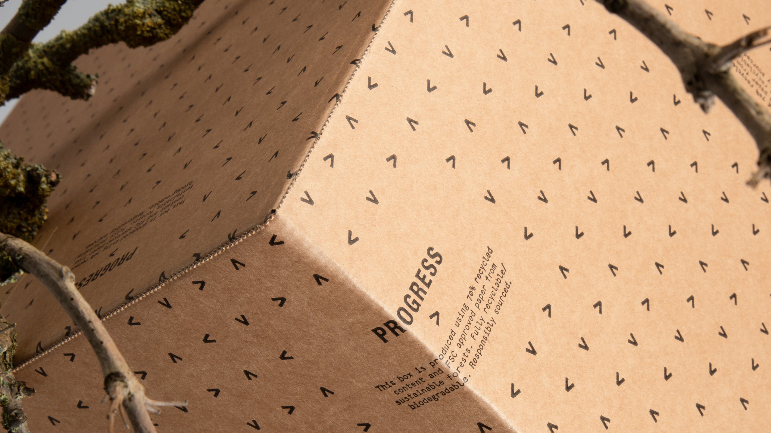 Environmental Eco Friendly Packaging Design Marketing Promotional Campaign Art Direction Branded Branding Luxury Retail E-Comms Reusable Mailing Shipping Boxes Biodegradable Responsible Sustainable Yorkshire Leeds Branding Agency 2 DESIGN PROJECT