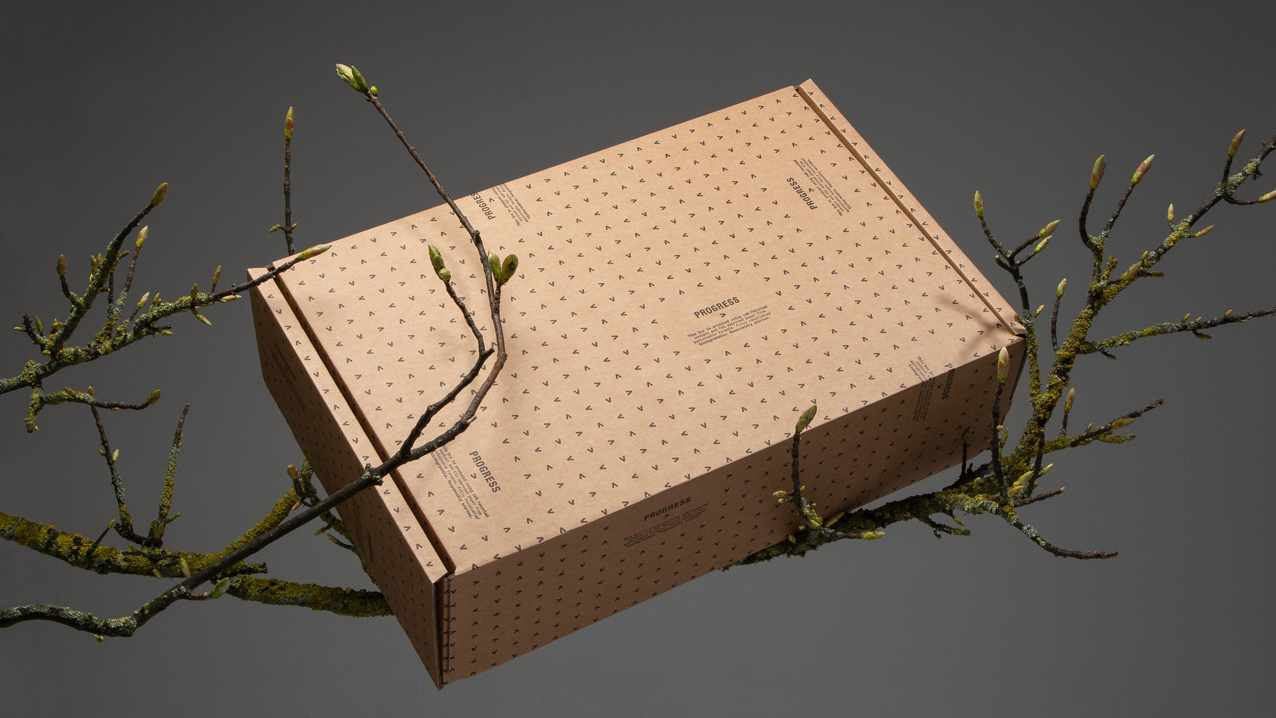 Eco friendly packaging design. Transit boxes, Luxury mailing boxes, Biodegradable, Responsibly sourced packaging, Sustainable packaging collection, Printed mailing boxes.