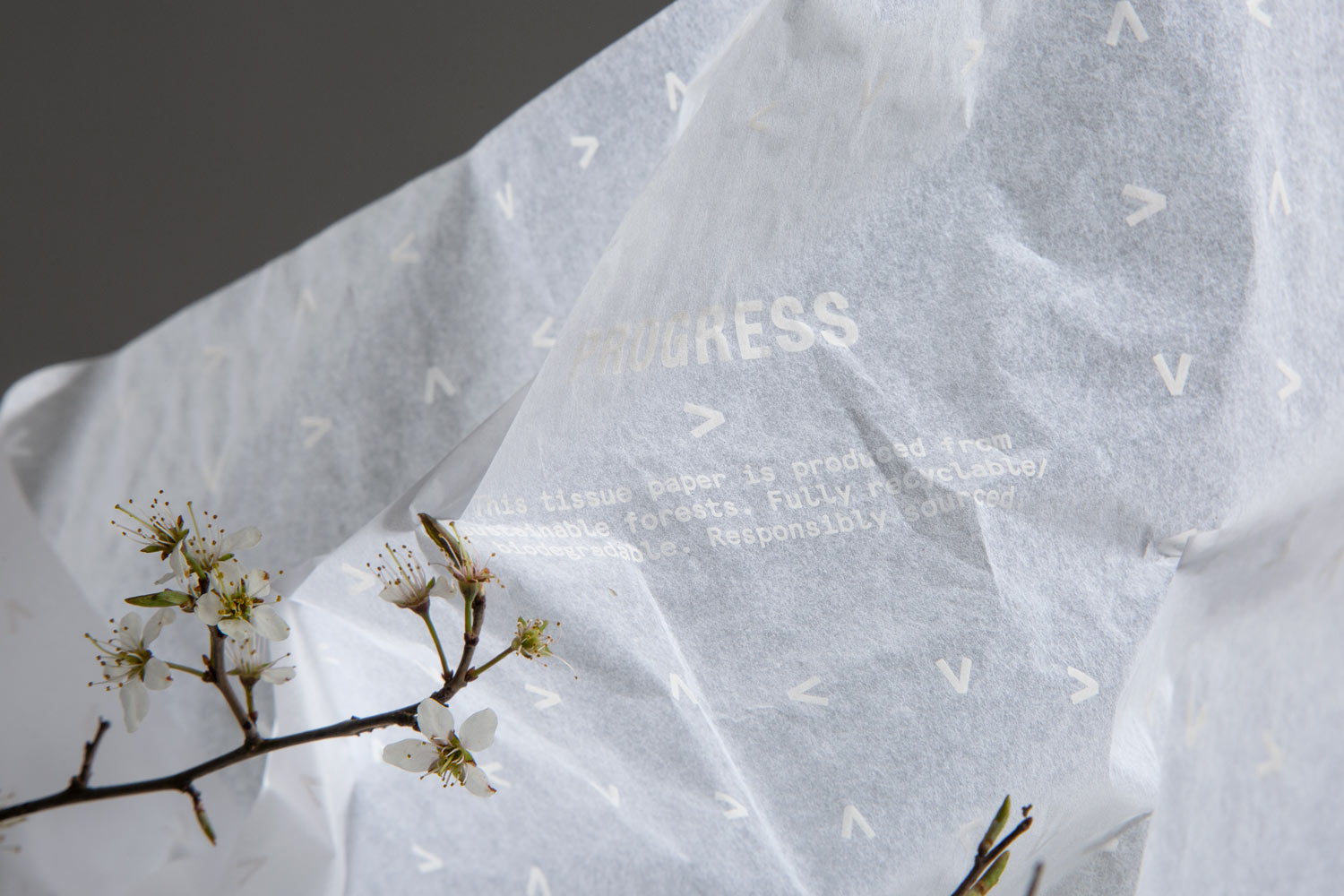 Tissue Paper Environmental Eco Friendly Packaging Design Art Direction Branded Branding Luxury Retail E-Comms Reusable Mailing Shipping Boxes Biodegradable Responsible Sustainable Yorkshire Leeds Branding Agency DESIGN PROJECT