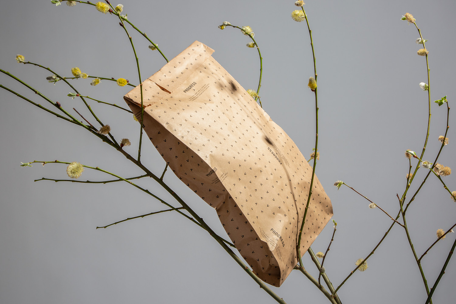 Packaging design, customisable packaging boxes, personalised packaging, e-comms packaging, custom eco friendly packaging, Design Project