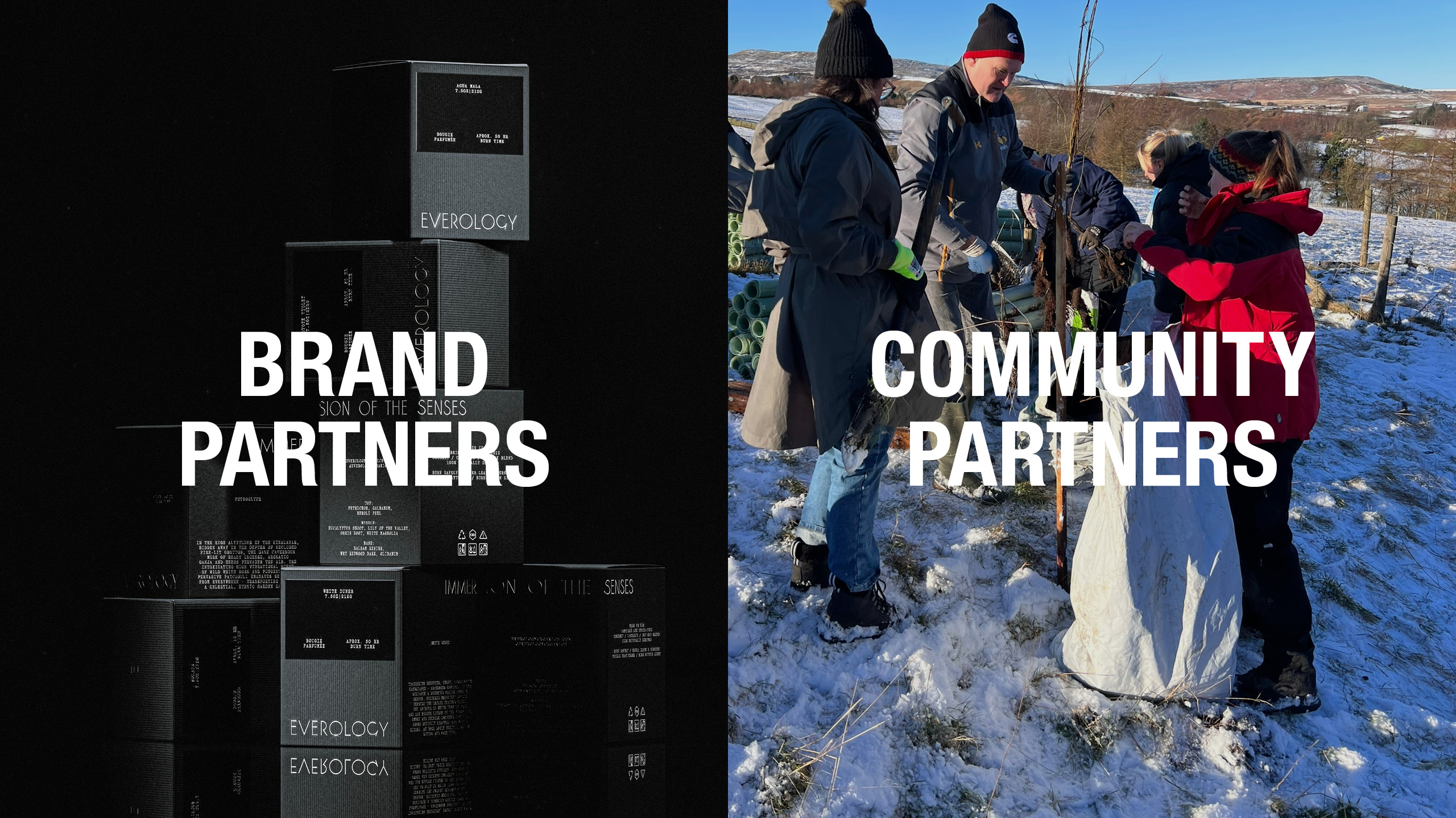 Brand strategy, website design, web development Leeds, by Design Project 1