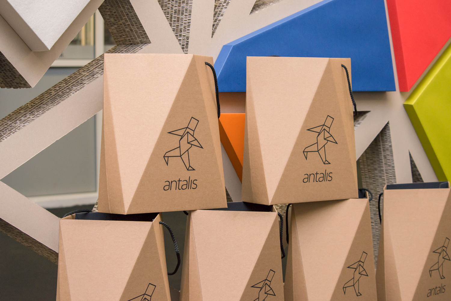 Packaging design and custom crash-bottom carrier bag by Design Project