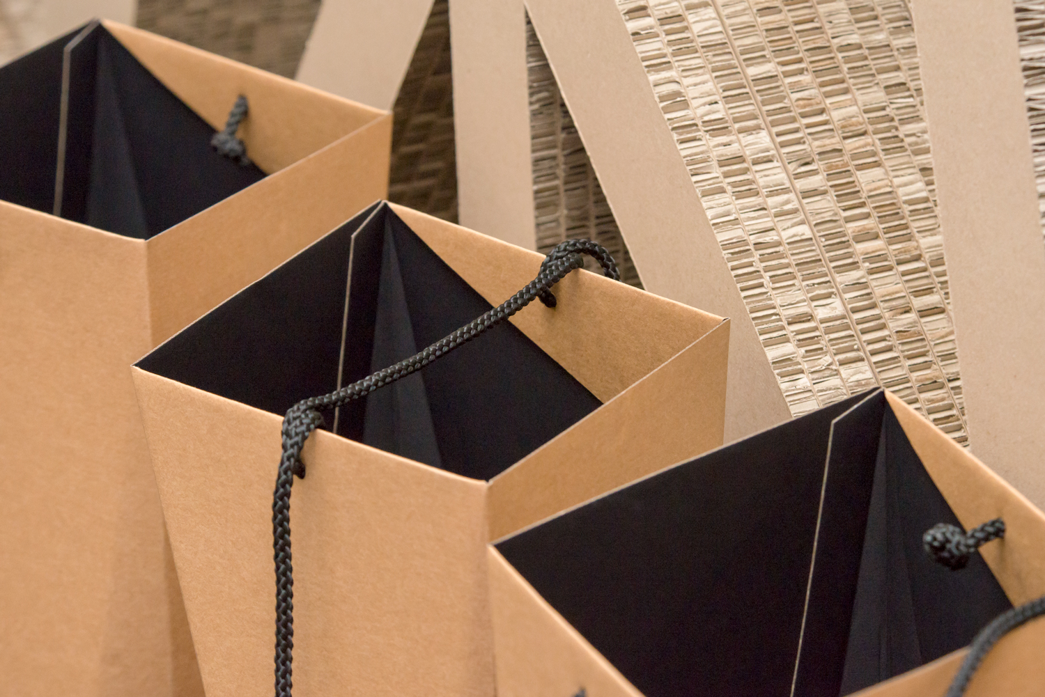 Packaging design and collapsible custom carrier bag by Design Project